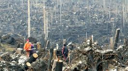 V Tatrách opäť vyčíňal vietor, spadlo viac ako 8-tisíc stromov