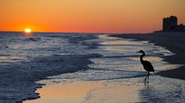 Najnebezpečnejšie pláže: medúzy, úrazy, zlodeji, sopky, žraloky