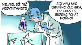 Danglár, 22.11.2014