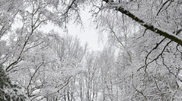 POSneh, Kežmarok, počasie, zima, prvý sneh