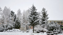Sneh, Kežmarok, počasie, zima, prvý sneh
