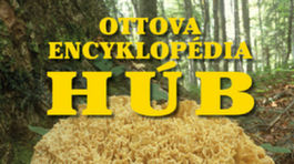 Ladislav Hagara: Ottova encyklopédia húb