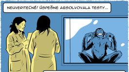 Gašparec, 8.12.2014