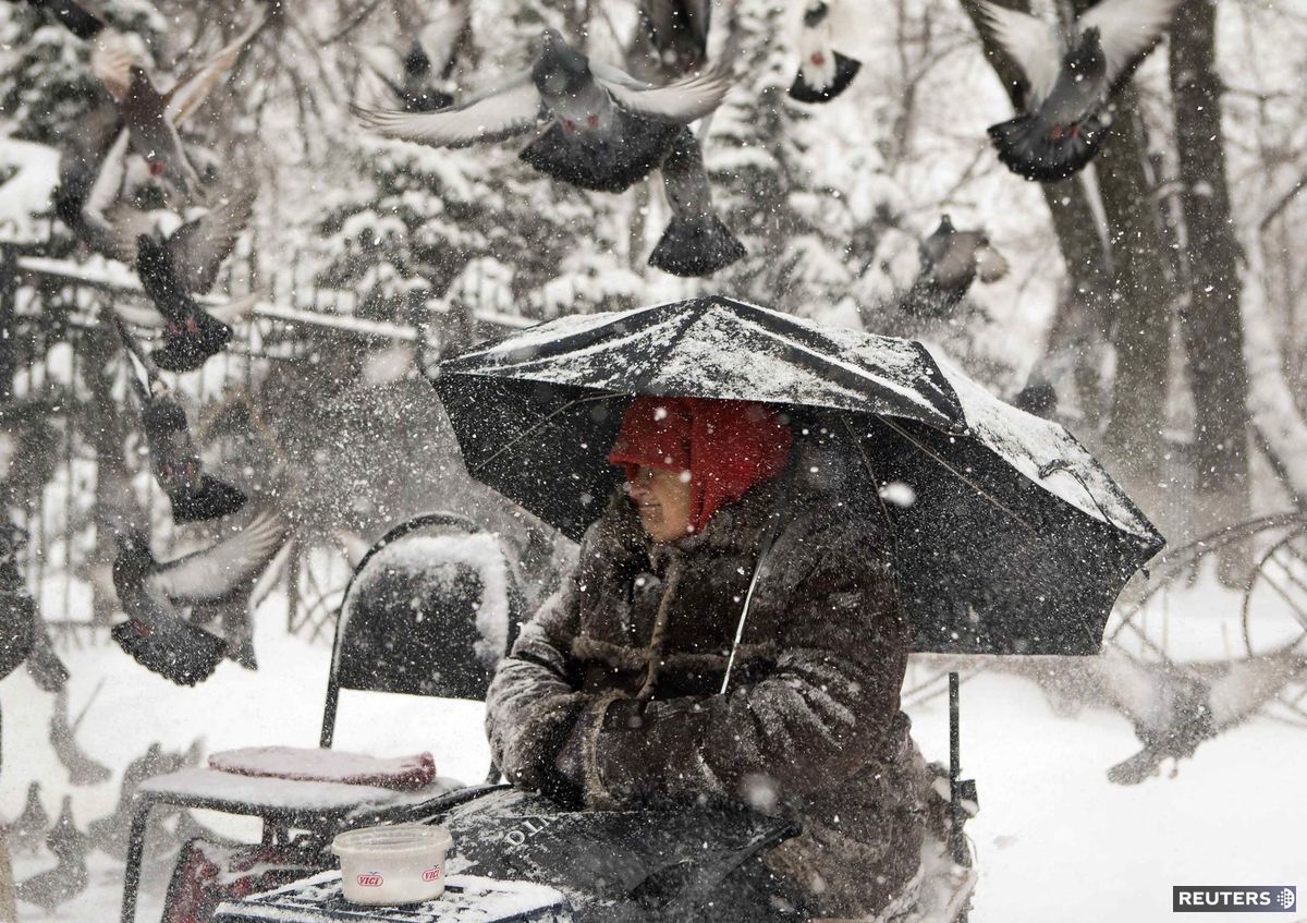 sneh, holuby, Almaty