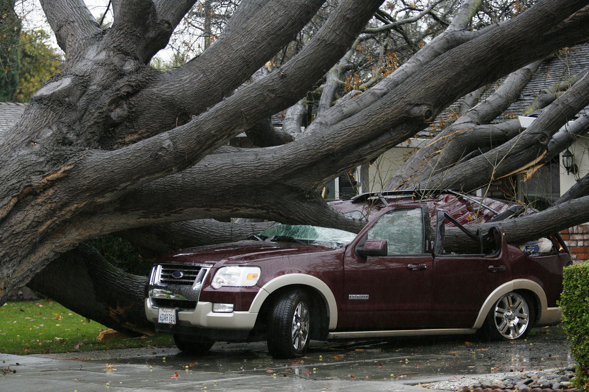 Kalifornia, búrka, strom, auto