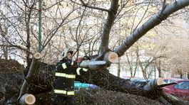 Silný vietor a dažde sa postarali o problémy v Nemecku i Česku
