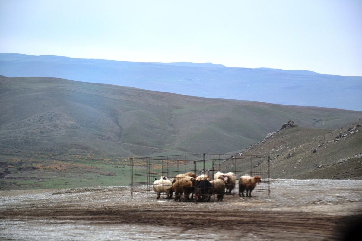 Krajina v okolí mesta Shamakhi.