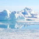 Arktída, ľadovce, ľad