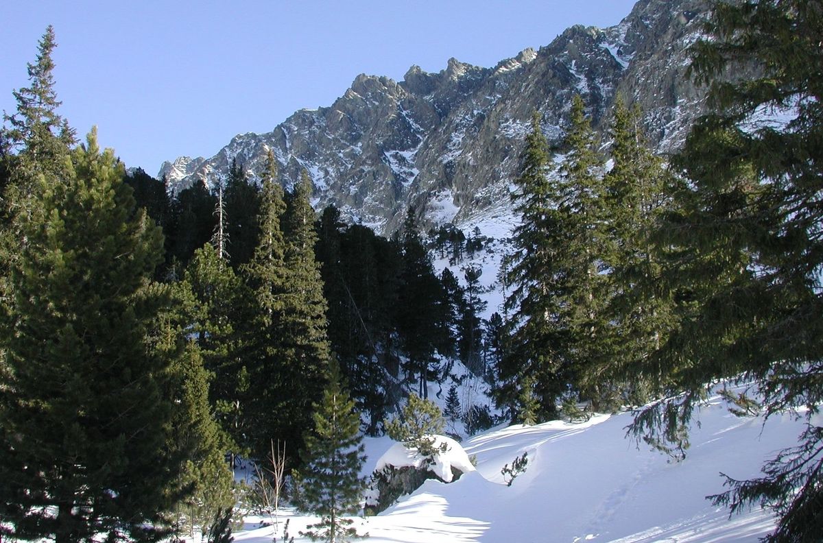 Dolina zlomísk.
