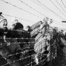 november 1989, ostnatý drôt