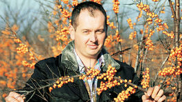 Karotková veľmoc má nového kráľa. Volá sa rakytník