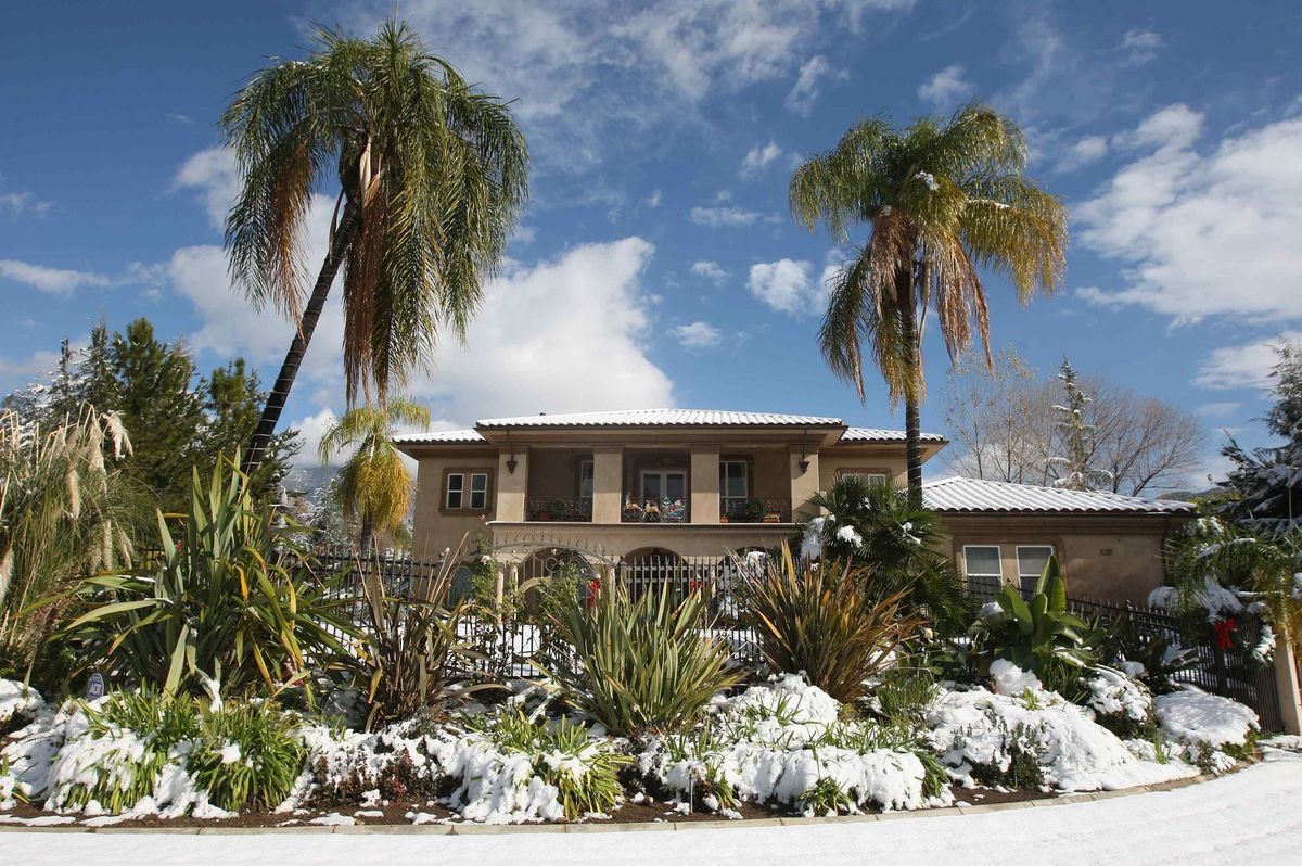 sneh, palmy, Kalifornia