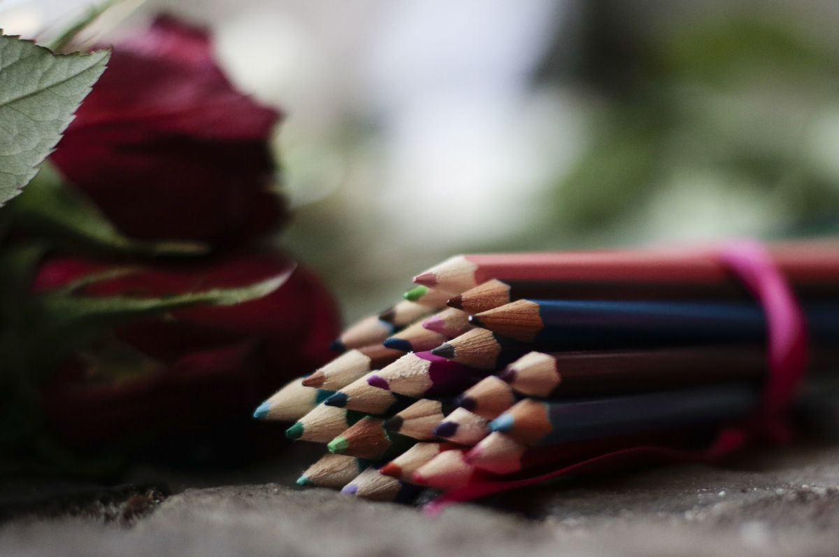 ceruzky, kvety, Charlie Hebdo, Berlín