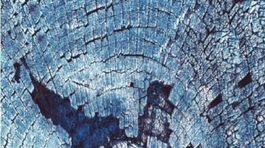 Vladimír Mináč: Dúchanie do pahrieb/Návraty k prevratu