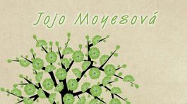 Jojo Moyesová - Dievča, ktoré si tu zanechal. O ženách, ktoré delí storočie