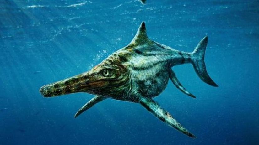 ichtyosaurus, ryba, lochnesská prášera