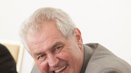 Český senát na Zemana žalobu za vlastizradu pravdepodobne nepodá