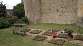 stredovek, záhony, Carcassonne, Francúzsko,