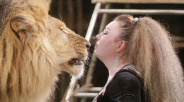 V cirkusoch nebudú môcť vystupovať takmer žiadne zvieratá