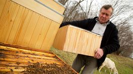 Teplá zima decimuje včely už druhý rok