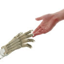 umelá inteligencia, AI, robot, stroj, artificial intelligence, budúcnosť