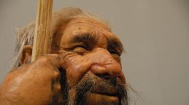 Nález lebky potvrdzuje migráciu človeka z Afriky