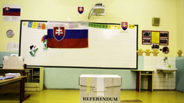 referendum, urna