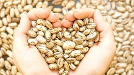 Hladinu homocysteínu znižujú 'béčka'