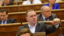 Ak by Vašečka neuspel, Hlina mu vie nájsť miesto v predsedníctve hnutia