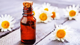 Rumanček, šalvia či medovka - bylinky lepšie ako moderné lieky