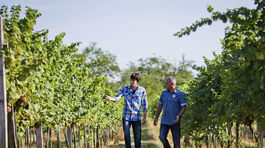 Žitavské vinice sú vo svetovej tridsiatke 
