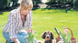 Kalendár záhradkára: Čo urobiť v marci?