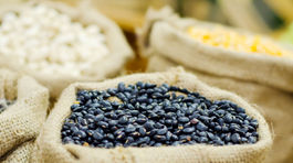 Vegetariáni majú málo železa a žijú dlhšie. Naozaj? 