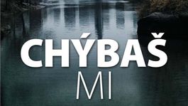 Harlan Coben - Chýbaš mi. Vyhýbaj sa ľuďom z minulosti