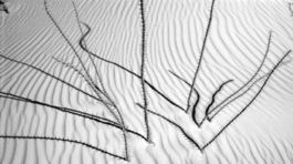 Krajina je koža skutočnosti