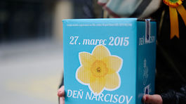 Zo žilinskej nemocnice ukradli vyzbierané peniaze z Dňa narcisov