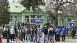 Ochranári žiadajú agrorezort, aby riešil situáciu zvierat v rómskych osadách