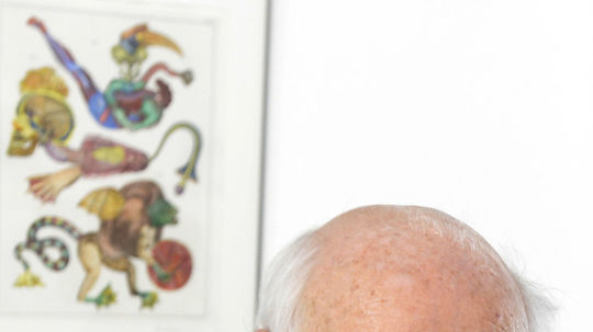 Švankmajer J. Umelec v Danubiane.