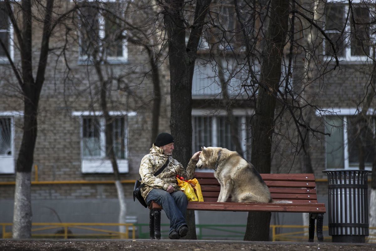 lavička, muž, pes, Moskva