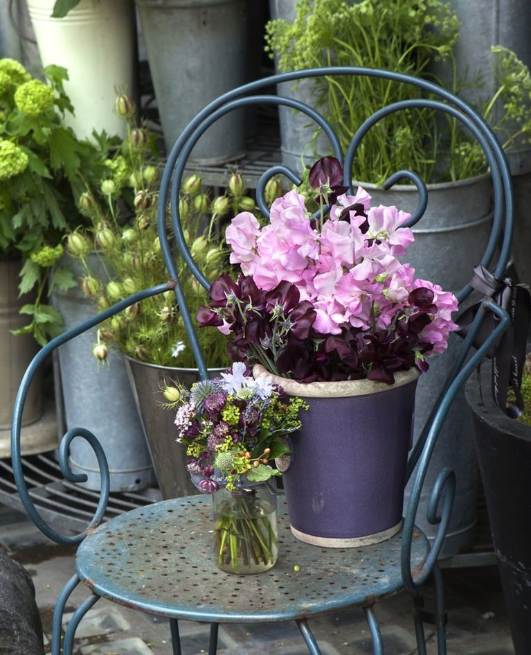 Hrachor nepatrí síce medzi najčastejšie...