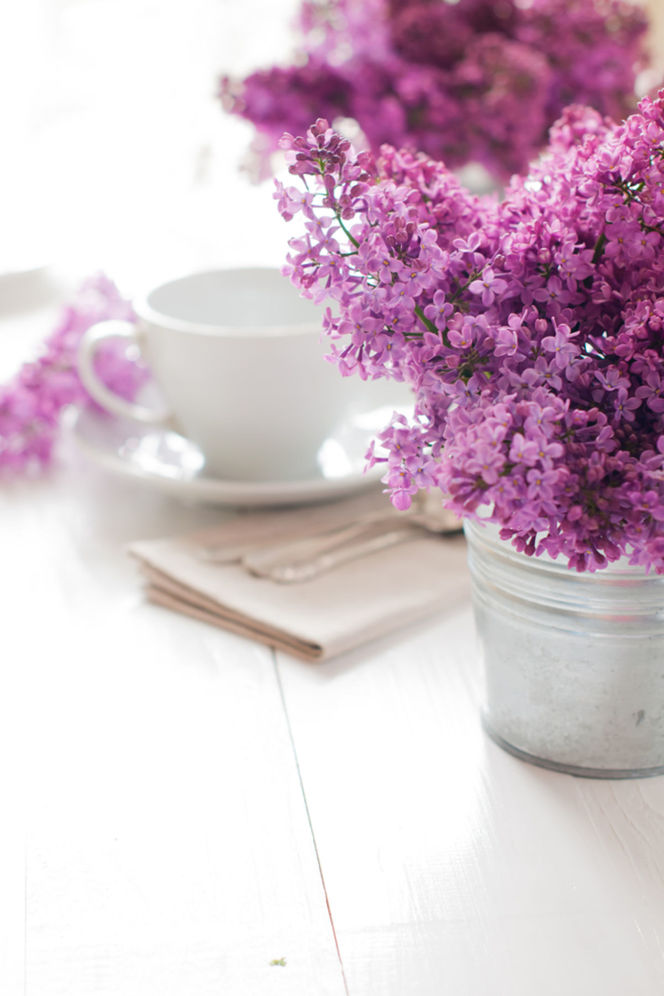 Orgován patrí medzi najtypickejšie kvetiny z...