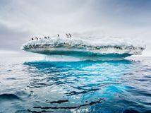Antarktída, tučniaky, ľadovec, ľad, zima, sneh, more,
