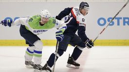 Sabahidin Kovačevič, Milan Bartovič, Slovensko - Slovinsko