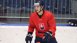 Bez výstroja: Bližňák sa bojí výšok a umývania riadov. Rád by stretol Nadala