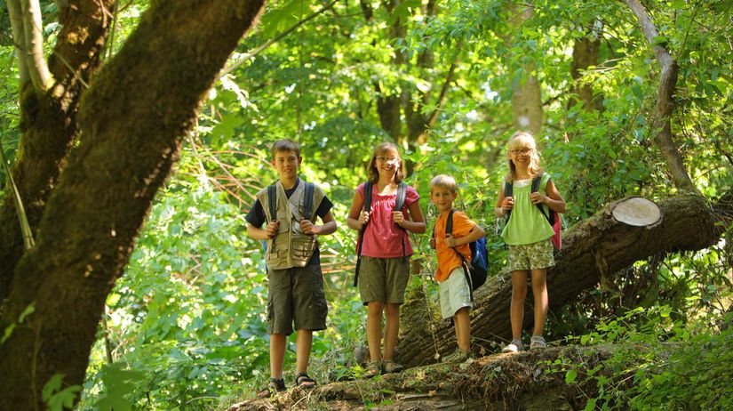 deti, les, príroda, výlet, škola v prírode