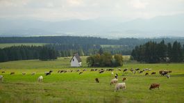 Ak chce Slovensko prosperovať, potrebuje svoje potraviny