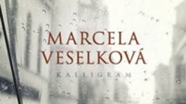 Marcela Veselková: Nedostatky