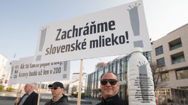 Farmárov začína mlieko privádzať na psí tridsiatok