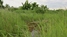 Likvidovať toxickú skládku vo Vrakuni začnú zrejme na jeseň