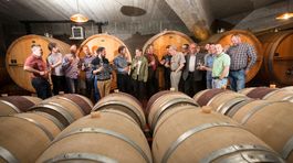 Čas zrodu nových slovenských vinárskych rodov